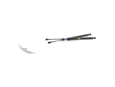 Trunk gas spring (x2) - Renault CLIO IV PH.1 - Gris Clair - 844308661R - P1-1002S