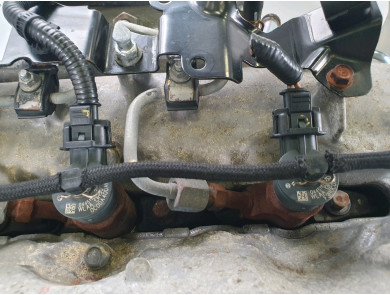 Engine type WLC - Mazda BT-50 FREESTYLE I PH.1 - Q0-4017Y