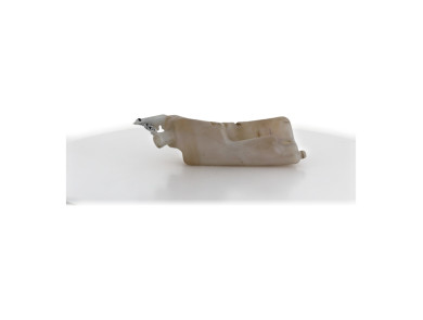 Bocal lave glace - Renault GRAND MODUS PH.2 - 7701058023 - H1-8480W