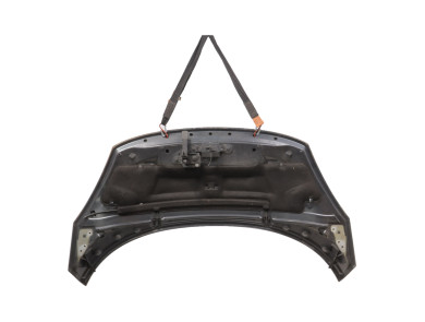 Hood (Bonnet) - Renault SCENIC III PH.1 - Gris Fonce - 651008842R - X0-5435X