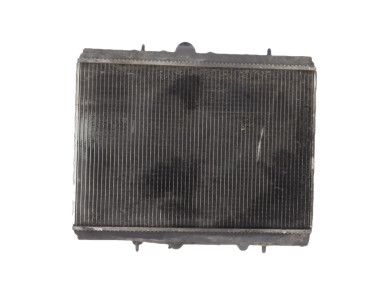Radiateur d'eau - Peugeot 406 PH.2 - 0000133063 - S1-7900Y