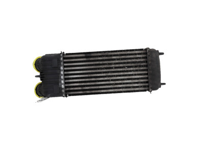 Intercooler - Citroen C3 PICASSO PH.1 - 00000384N1 - X0-4684J