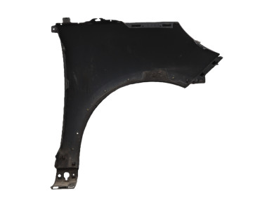 Right front fender - Renault SCENIC III - Noir - 631008669R - T1-3930G