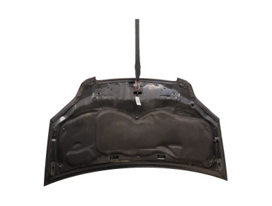 Hood (Bonnet) - Honda FR-V - Noir - 60100SJD305ZZ - Q0-3794U