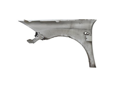 Right front fender - Seat LEON II PH.1 - Gris Clair - 1P0821022A - H1-5149I