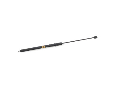 Verins capot - Renault MEGANE III PH.1 - Noir - 654710003R - Z1-5136Z