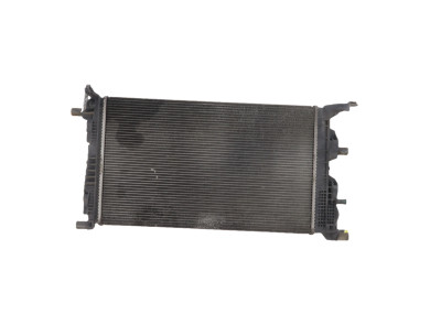 Cooling radiator - Renault SCENIC III PH.1 - 214100002R - F1-7659R