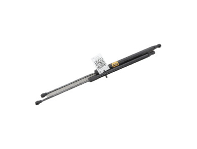 Trunk gas spring (x2)