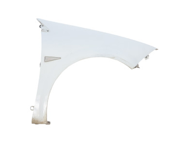 Right front fender - Renault MEGANE II PH.1 - 7701477187 - W1-3607I