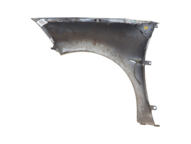 Right front fender - Renault MEGANE II PH.1 - 7701477187 - W1-3607I