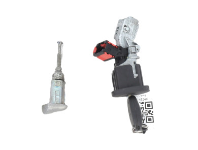 Steering lock and door key cylinders kit - Renault CLIO III PH.2 - 7701208784 - F1-4524X