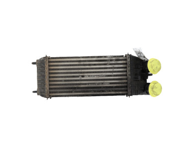 Intercooler - Citroen C4 CACTUS PH.1 - 9803900780 - L0-0384L
