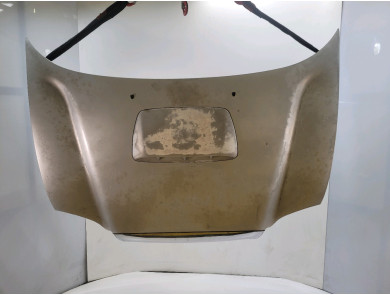 Capot - Hyundai SANTA FE I - Gris Clair - 6640026072 - P1-9025N