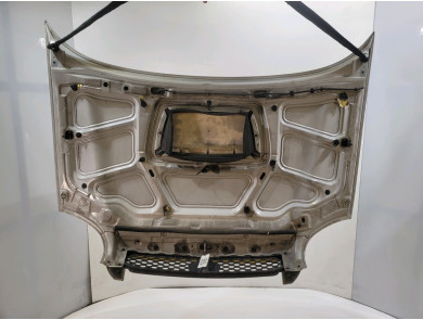 Capot - Hyundai SANTA FE I - Gris Clair - 6640026072 - P1-9025N