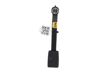 Right front belt clip - Renault CLIO III PH.2 - 8200794022 - E1-6717Q