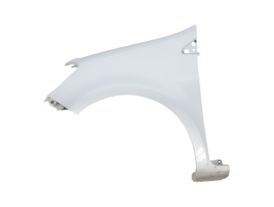 Left front fender - Renault CLIO III PH.1 - Gris Clair - 7701476104 - T1-1464Z