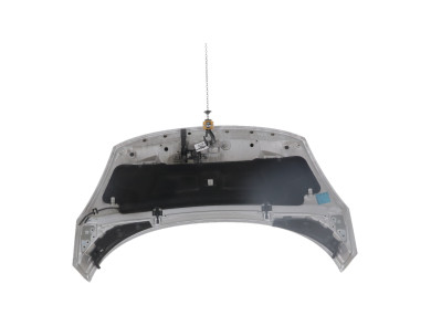 Capot - Renault SCENIC III PH.1 - Gris Clair - 651008842R - E0-8354E