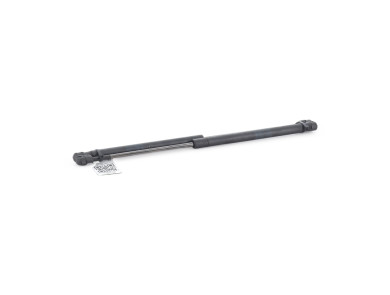 Paire verins coffre hayon malle - Renault MEGANE II PH.2 - Noir - 904525806R - A1-7629A
