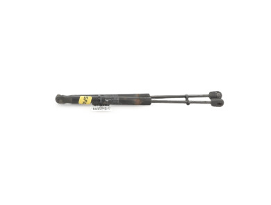 Trunk gas spring (x2) - Renault MEGANE II PH.1 - 8200119497 - B1-8462C