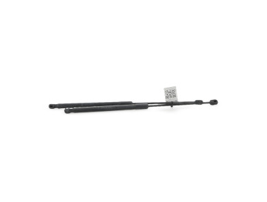 Trunk gas spring (x2) - Dacia SANDERO I - Blanc - 8200735264 - U0-7438A