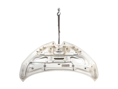 Hood (Bonnet) - Renault ZOE PH.1 - Blanc - 651004516R - K1-5173G