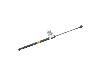 Paire verins coffre hayon malle occasion - Ford ECOSPORT - 2168943