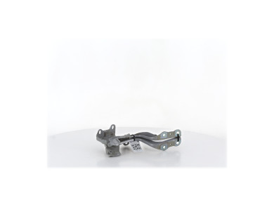 Hood hinges - KIA NIRO I PH.2 - Gris Fonce - 79110G5000 - H1-9378J
