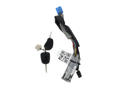 Steering lock - Citroen XSARA PICASSO - 00004162CK - P1-8277J