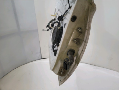 Left front door - Renault ZOE PH.2 - Blanc - 801015486R - N1-6289Q
