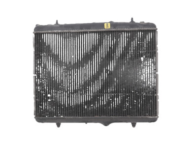 Radiateur d'eau - Peugeot 207 - 1330P9 - G1-7409B