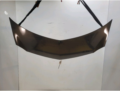 Capot - Renault MODUS PH.1 - Marron Fonce - 7751475521 - E1-1667R