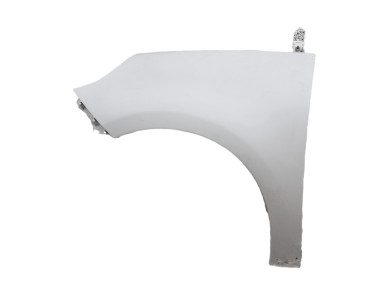 Left front fender - Renault SCENIC III PH.1 - Gris Clair - 631018882R - R0-0466I