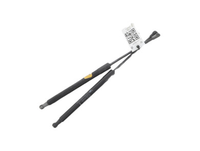Paire verins coffre hayon malle occasion - Dacia DUSTER - 904524666R