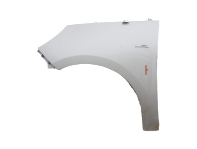 Left front fender - Renault SCENIC III PH.3 - Gris Clair - 631010188R - T1-8136U