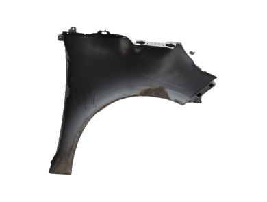 Left front fender - Renault SCENIC III PH.3 - Gris Clair - 631010188R - T1-8136U