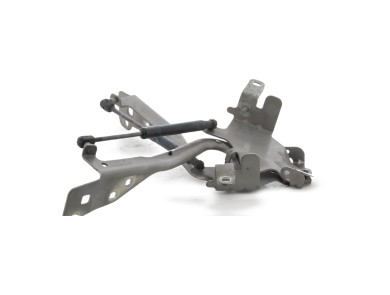 Hood hinges - Renault GRAND SCENIC III PH.2 - Beige Clair - 654012134R - Q1-8034U