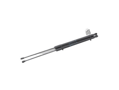 Paire verins coffre hayon malle occasion - Renault R4 - 904511132R