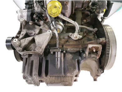 Moteur type D19AA - Fiat SEDICI PH.1 - A1-3919F