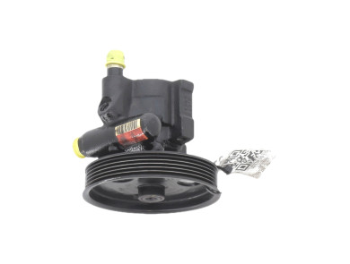Power steering pump - Dacia LOGAN I PH.1 - 491106541R - G1-4131T