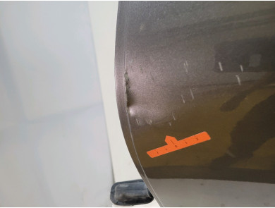 Porte arrière gauche - Renault SYMBIOZ - Gris Clair - 821012464R - A1-8366X