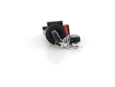 Steering lock - Renault TWINGO III PH.1 - 487009492R - R1-0233T
