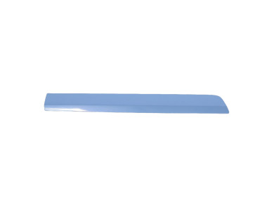 Left front door trim