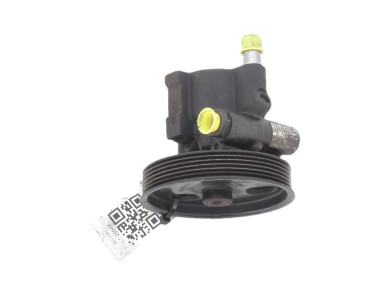 Power steering pump - Dacia SANDERO I - 491106541R - L1-2994Y