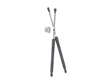 Trunk gas spring (x2) - Renault TWINGO II PH.2 - Gris Clair - 8200385560 - J1-7363T