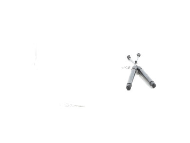 Paire verins coffre hayon malle - Renault TWINGO II PH.2 - Gris Clair - 8200385560 - J1-7363T