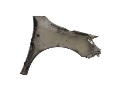 Left front fender - Skoda FABIA II PH.1 - Beige Clair - 5J0821021A - Y1-3209Y