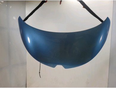 Hood (Bonnet) - Renault ZOE PH.1 - Bleu Clair - 651004516R - E1-8678T
