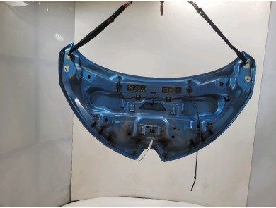 Capot - Renault ZOE PH.1 - Bleu Clair - 651004516R - E1-8678T