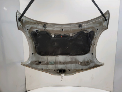 Capot - Nissan MICRA III PH.3 - Gris Clair - F5100-AX6MA- Q1-8485U