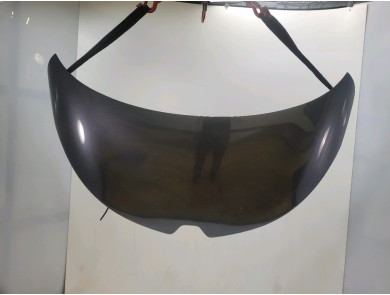 Hood (Bonnet) - Renault ZOE PH.1 - Gris Fonce - 651004516R - F1-8608T